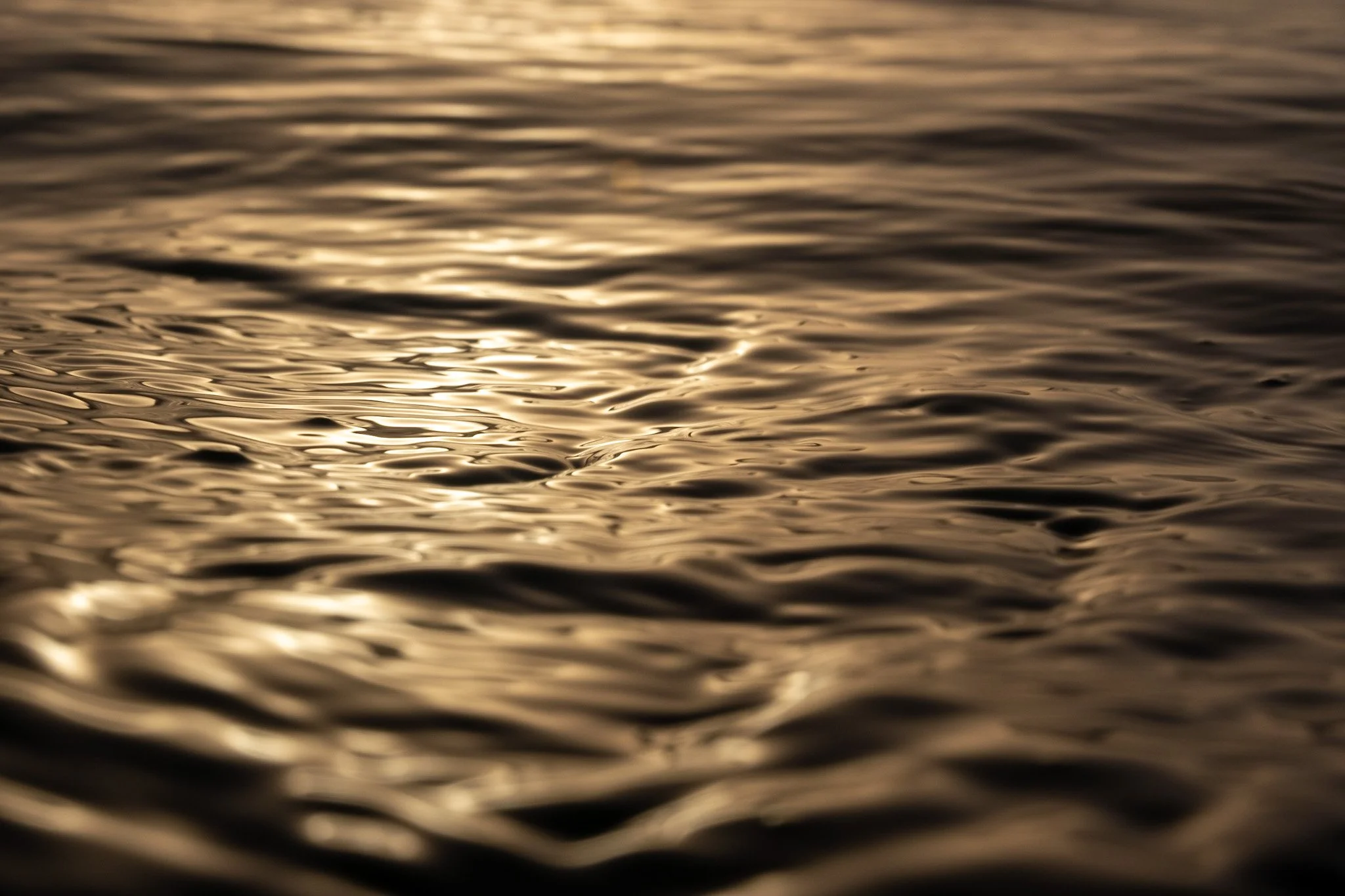 An ocean surface photographed at sunrise from sea level, captured by Lou Lou B Photo. The calm water is reflective, with ripples from the wind resembling liquid gold.