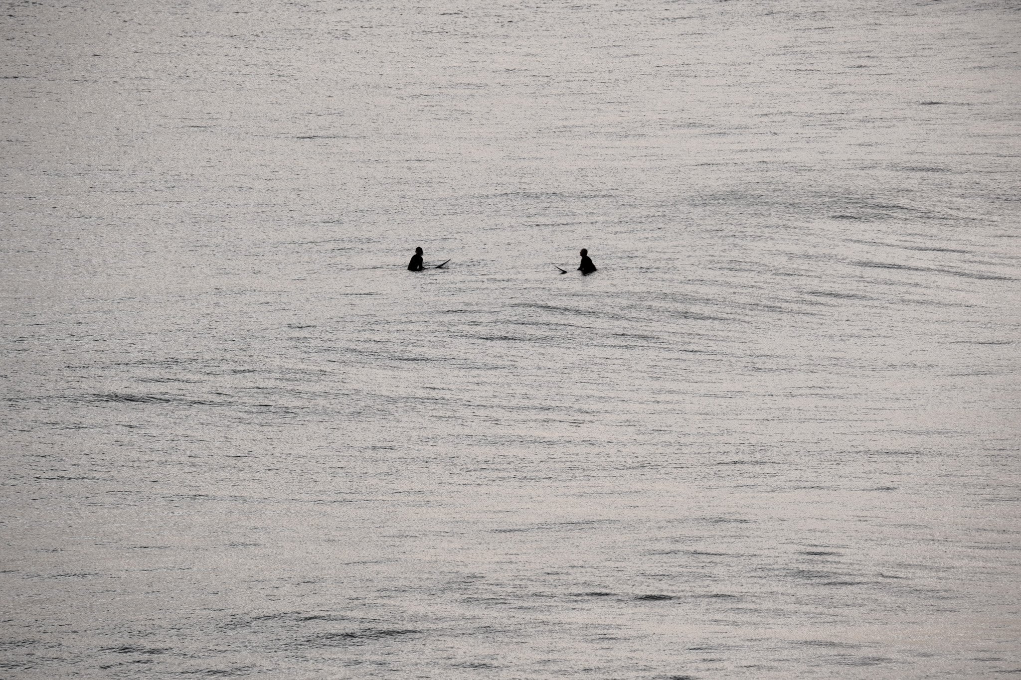 Two surfers silhouette in water at Mount Main Beach in New Zealand
