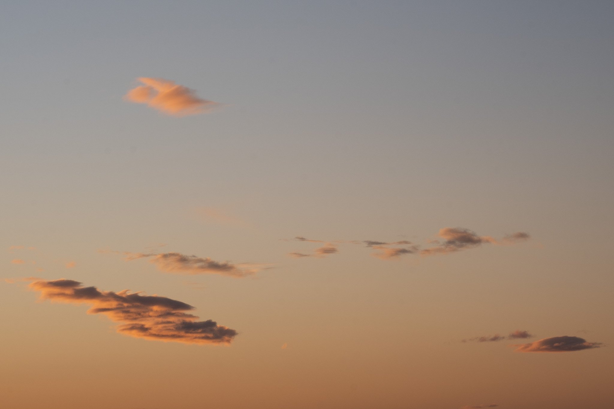 Enjoy the serene beauty of the pre-dawn sky in Mount Maunganui captured by Lou Lou B Photo. This minimal composition showcases the soft pastel hues of pink and orange clouds against a gradient blue sky. A calming and tranquil scene that invites you t