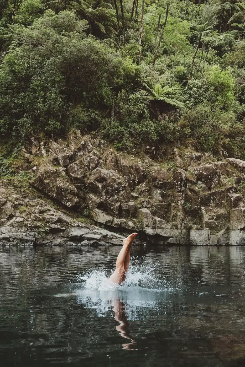 Lifestyle Nature Dive