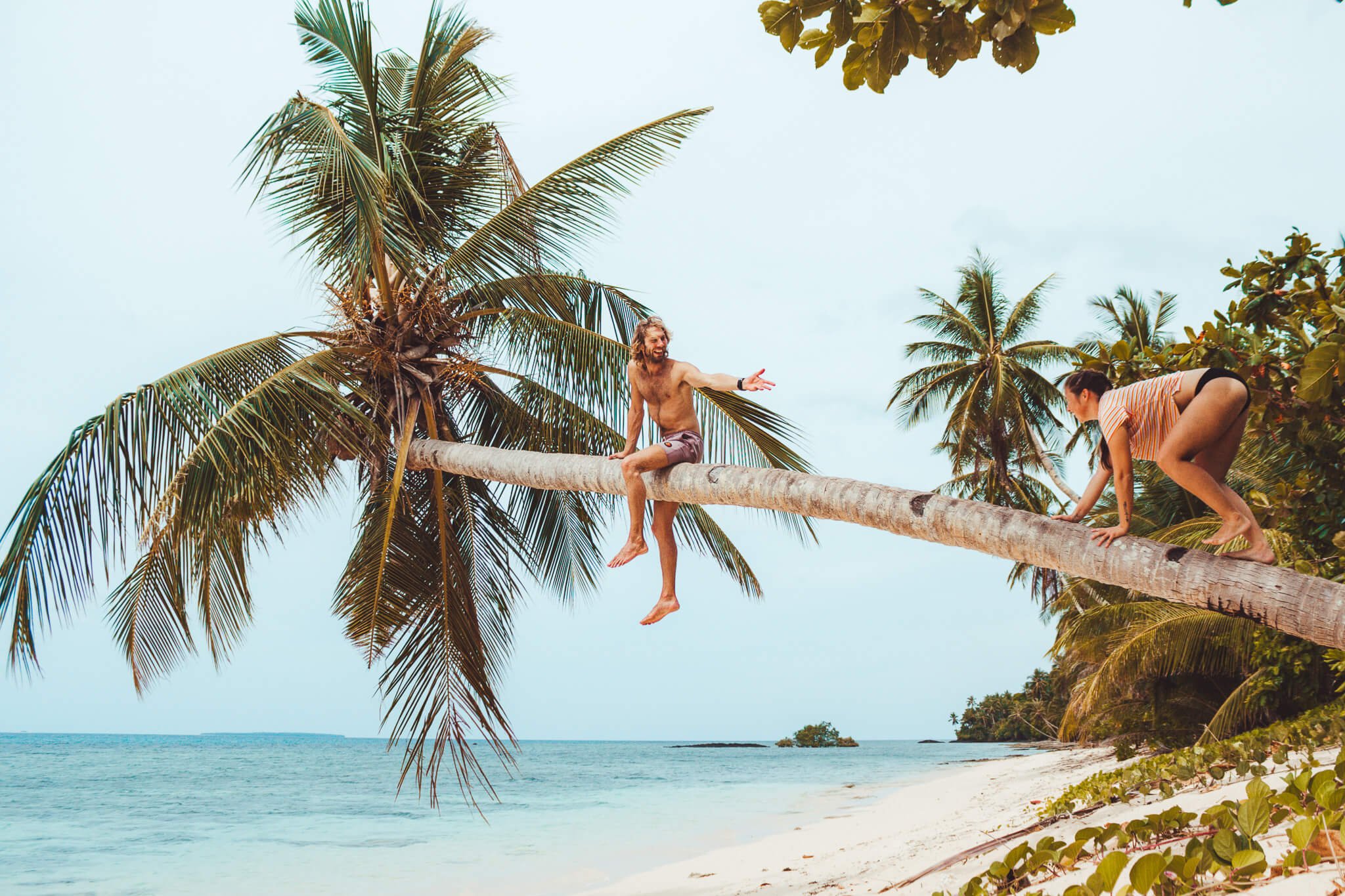 chasing-trends-travel-beach-palm-tree