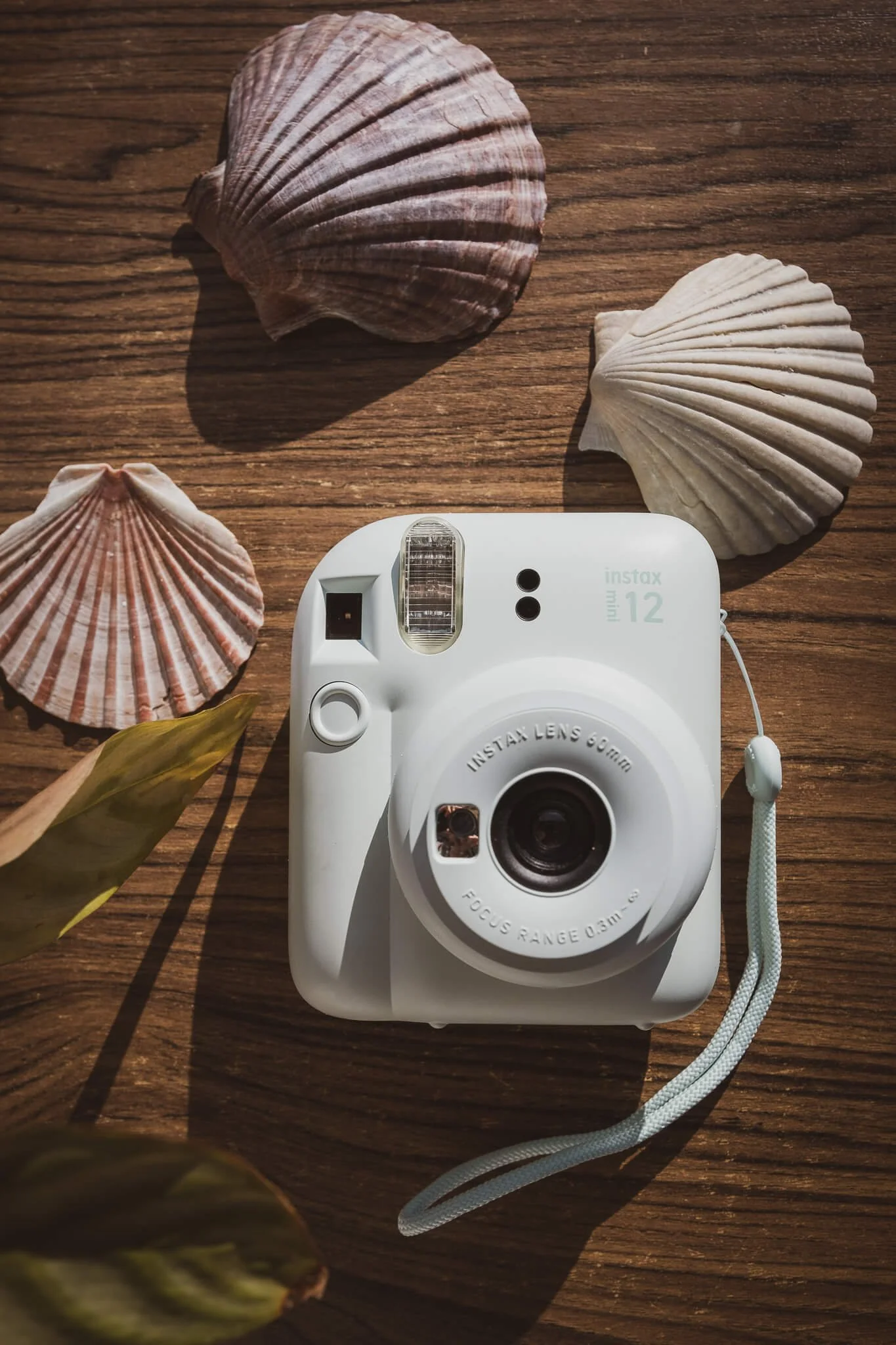 Flat lay photo of shells and Fujifilm Instax camera in duck egg blue