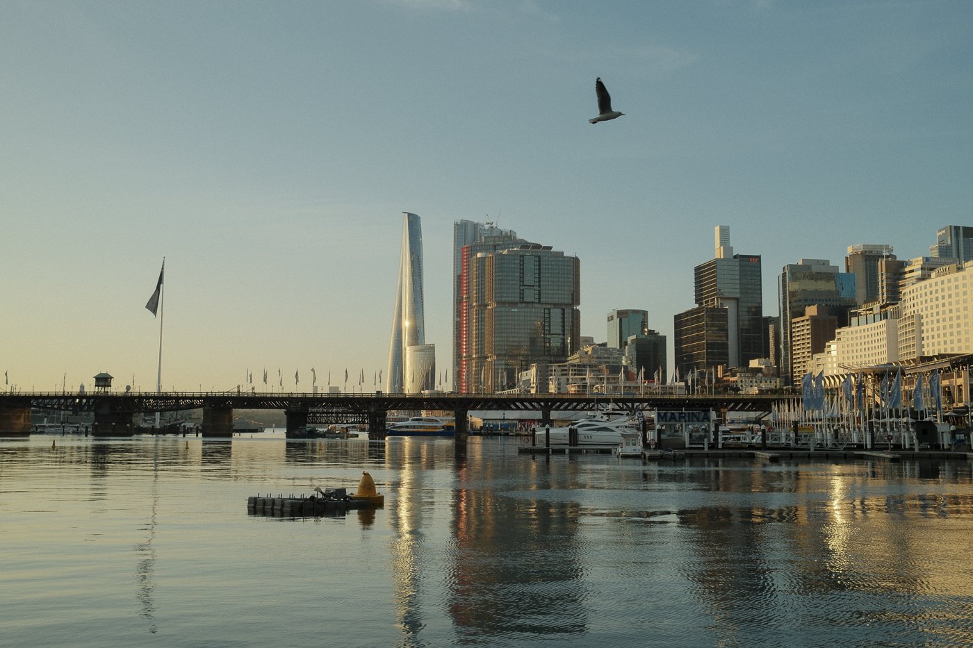 Darling Harbour skyline in Sydney photographed during the Fujifilm X-T50 global launch trip