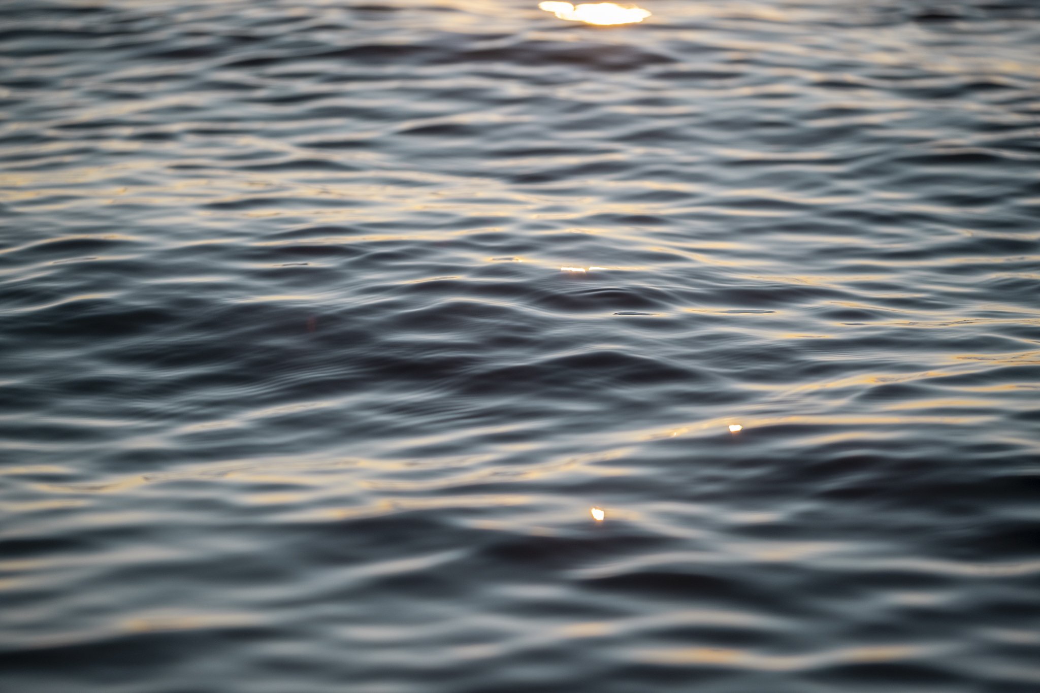 Ocean surface texture photographed from water level during golden hour