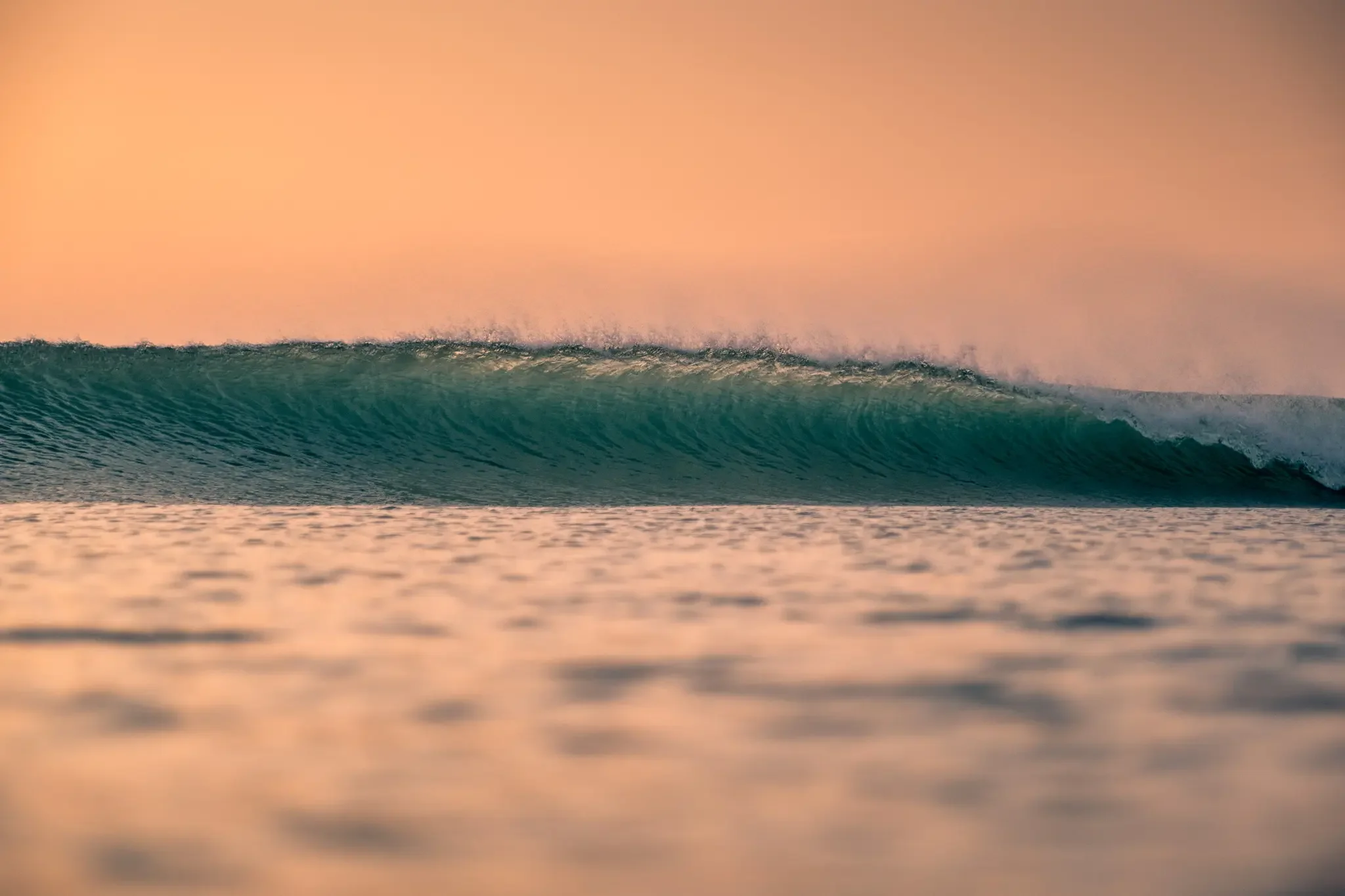 Small breaking wave photographed from water level showing soft morning light across the ocean surface