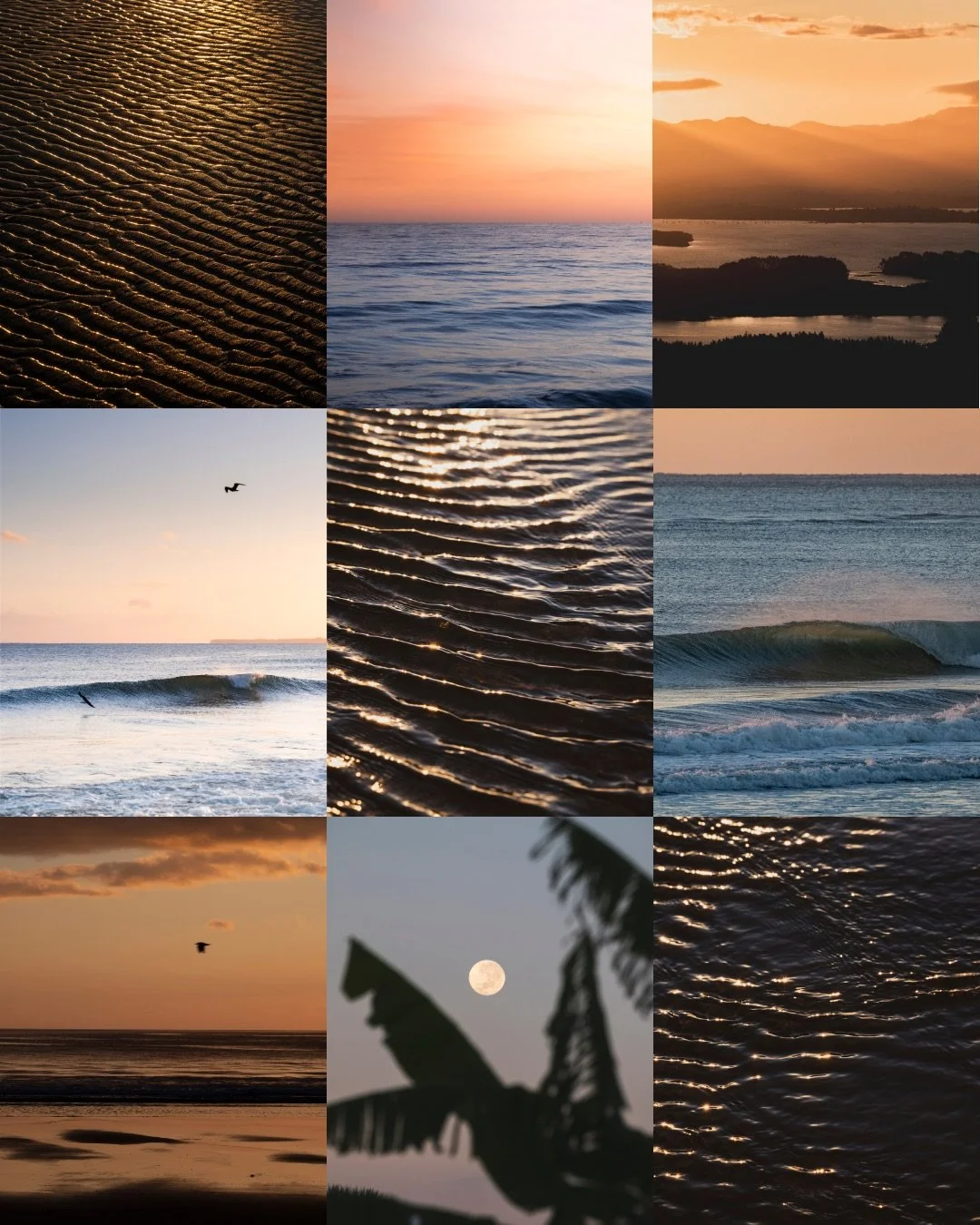 Nature observations lately ~ 

#quietmoments #coastalcreations #natureobservations #natureobsessions #visualdiary_art