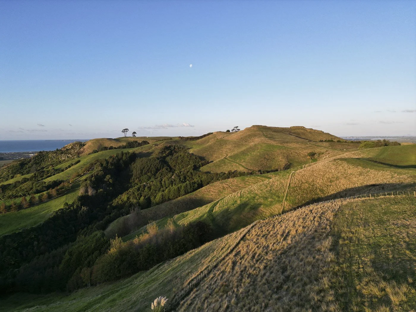 Rolling green hills and farmland in the North Island of New Zealand in warm evening light.