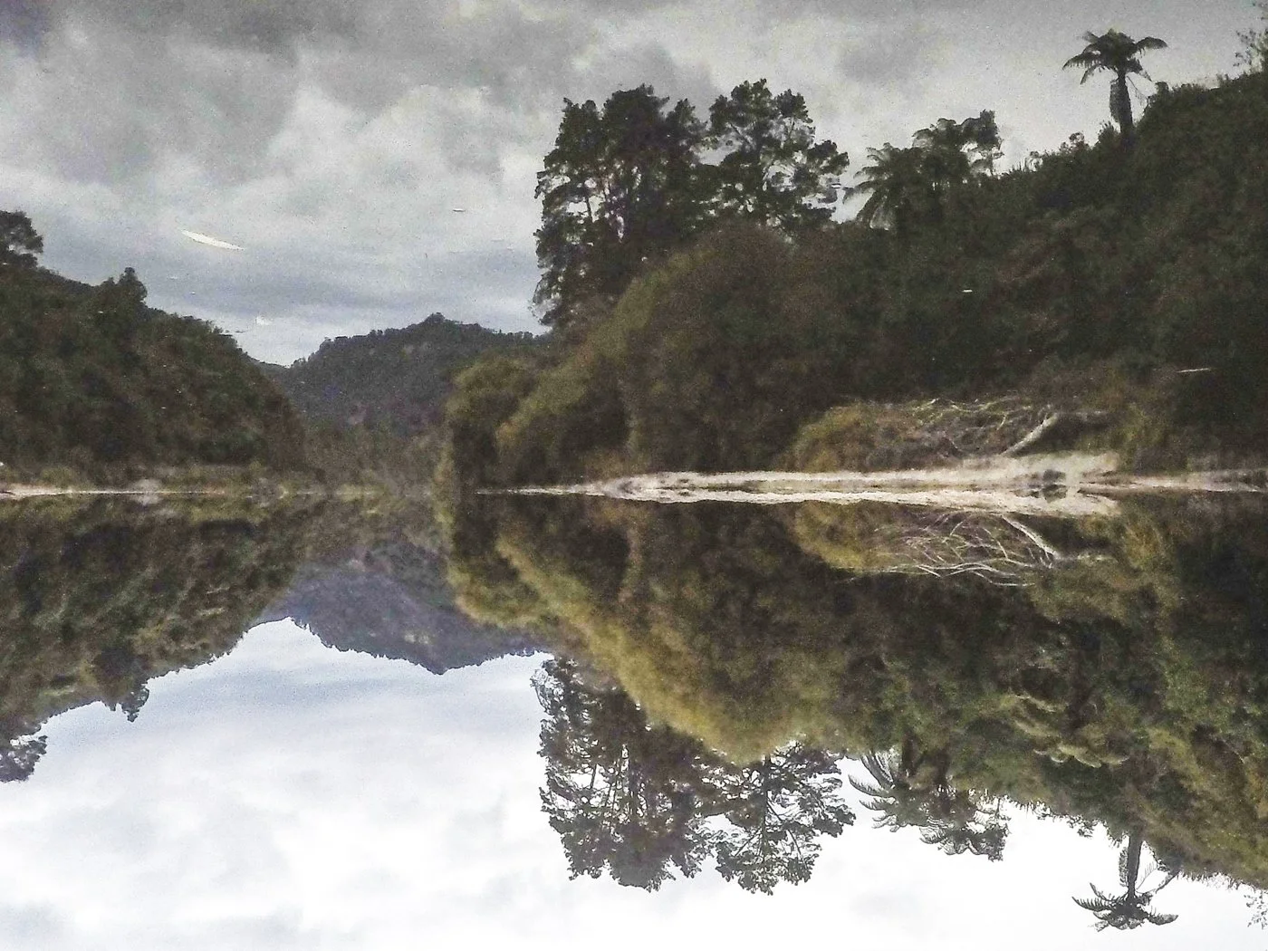 Still water reflecting native forest and riverbanks on the Whanganui River