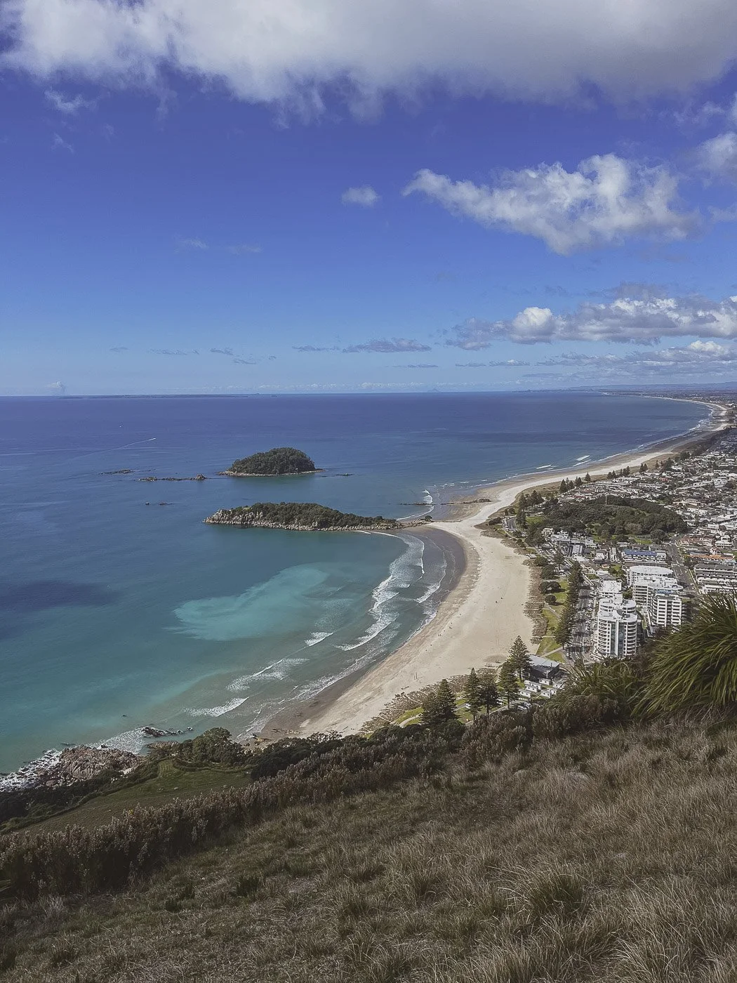 Panoramic view from Mauao summit overlooking Mount Maunganui Main Beach, turquoise ocean and the coastline stretching towards Pāpāmoa.