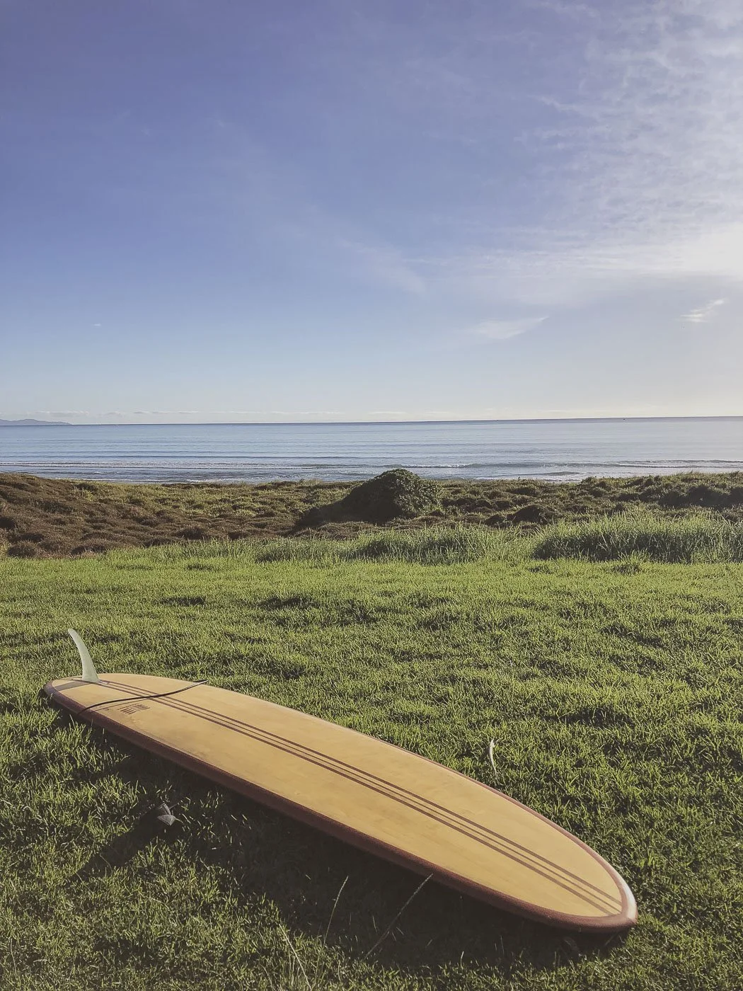 Longboard resting on the grass beside coastal dunes overlooking the ocean at Mount Maunganui.