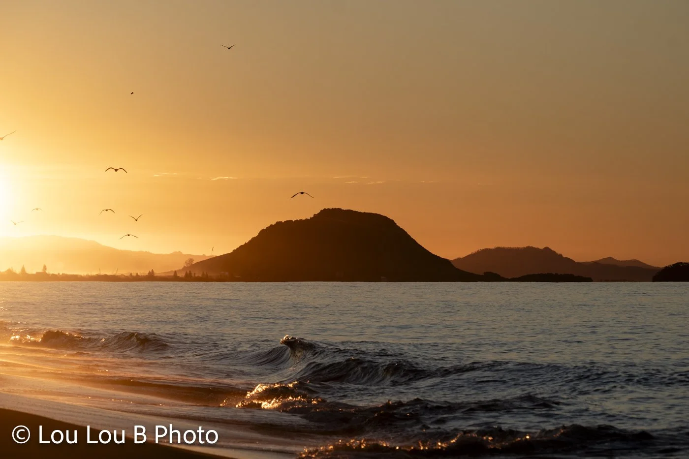 Mauao silhouetted against an orange sunset with seabirds flying above Mount Maunganui beach