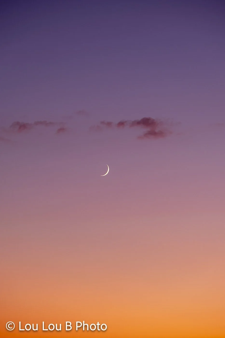 Delicate crescent moon and small clouds in a vivid pink, purple and orange sunset sky.