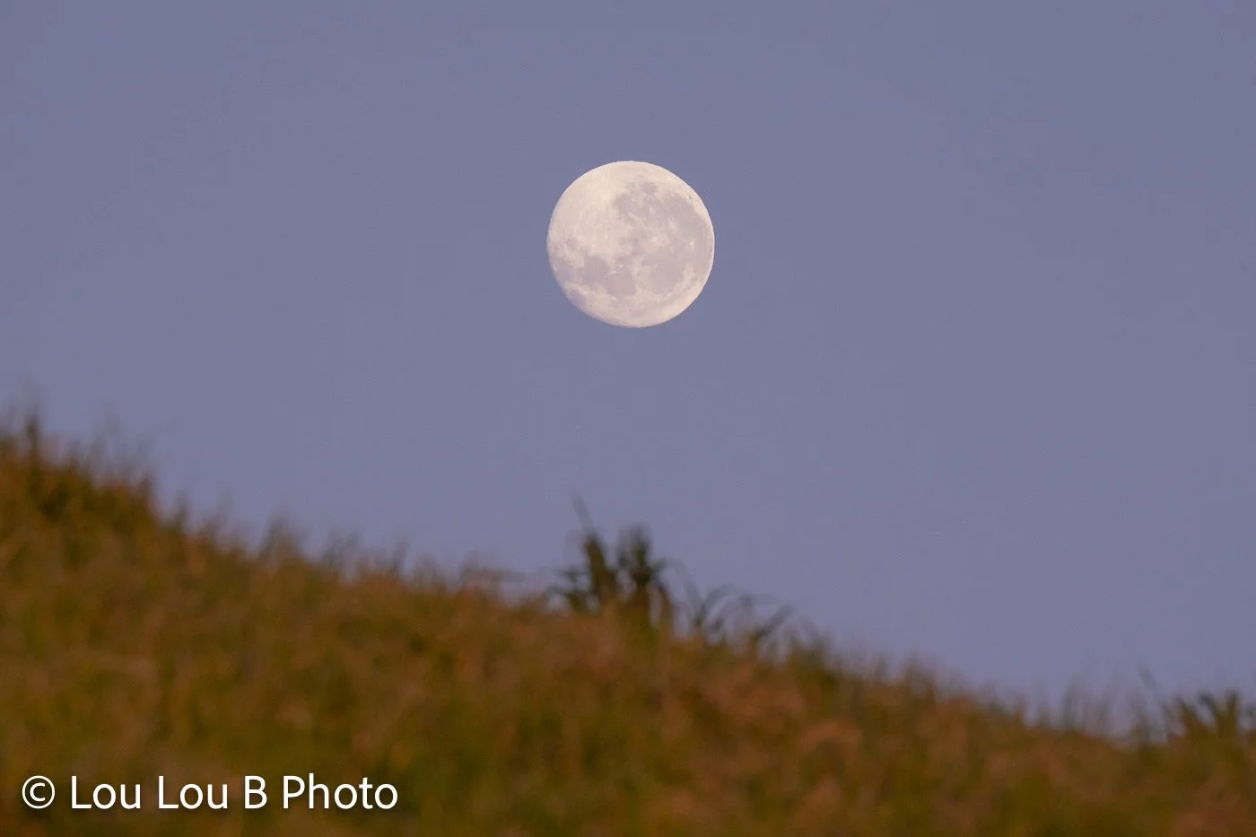 Full moon rising above a grassy coastal hill beneath a clear lavender-blue evening sky.