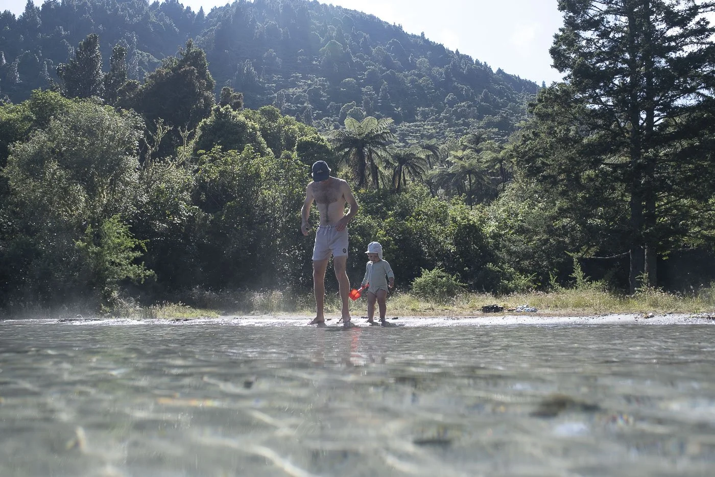 Dad and toddler paddling at the Blue Lake beach near Rotorua, New Zealand