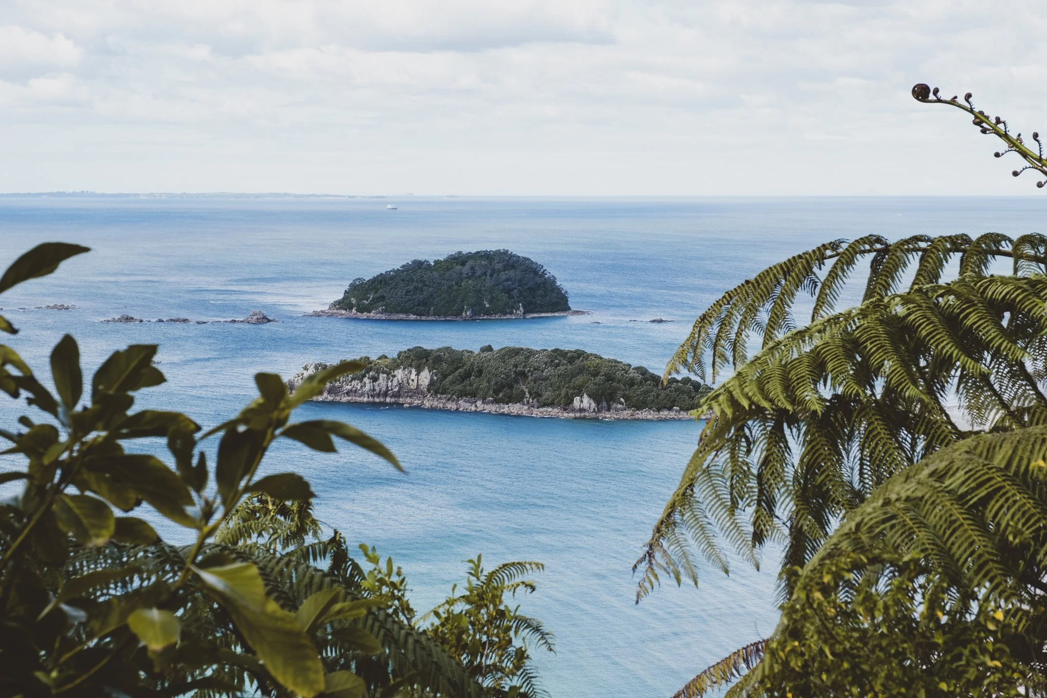 Ocean and offshore island views through native bush from the Mauao summit track in Mount Maunganui