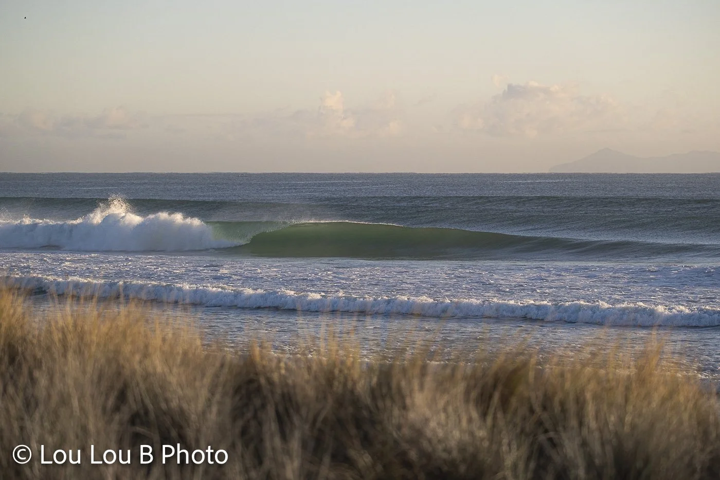 Green ocean wave breaking beyond golden coastal grasses with a distant island on the horizon.