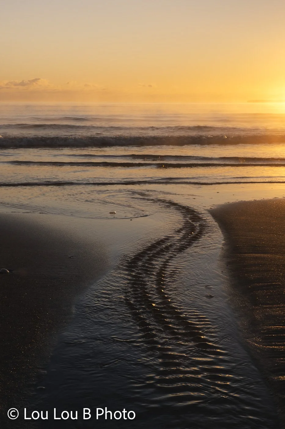 Golden sunrise reflecting across a beach with curved tracks leading through wet sand toward the sea.
