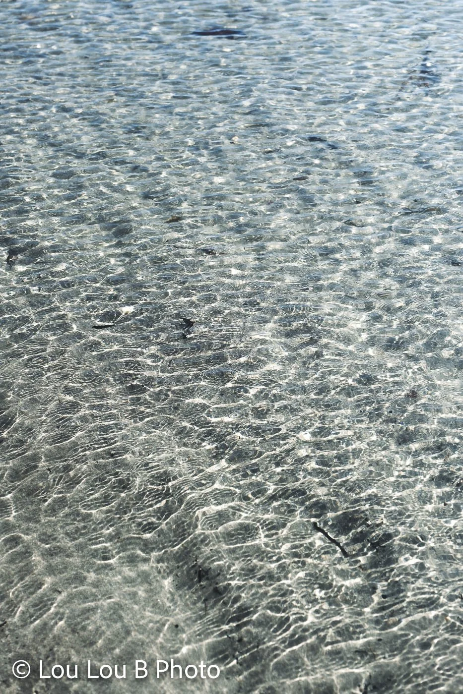 Sunlight shimmering across clear shallow coastal water.
