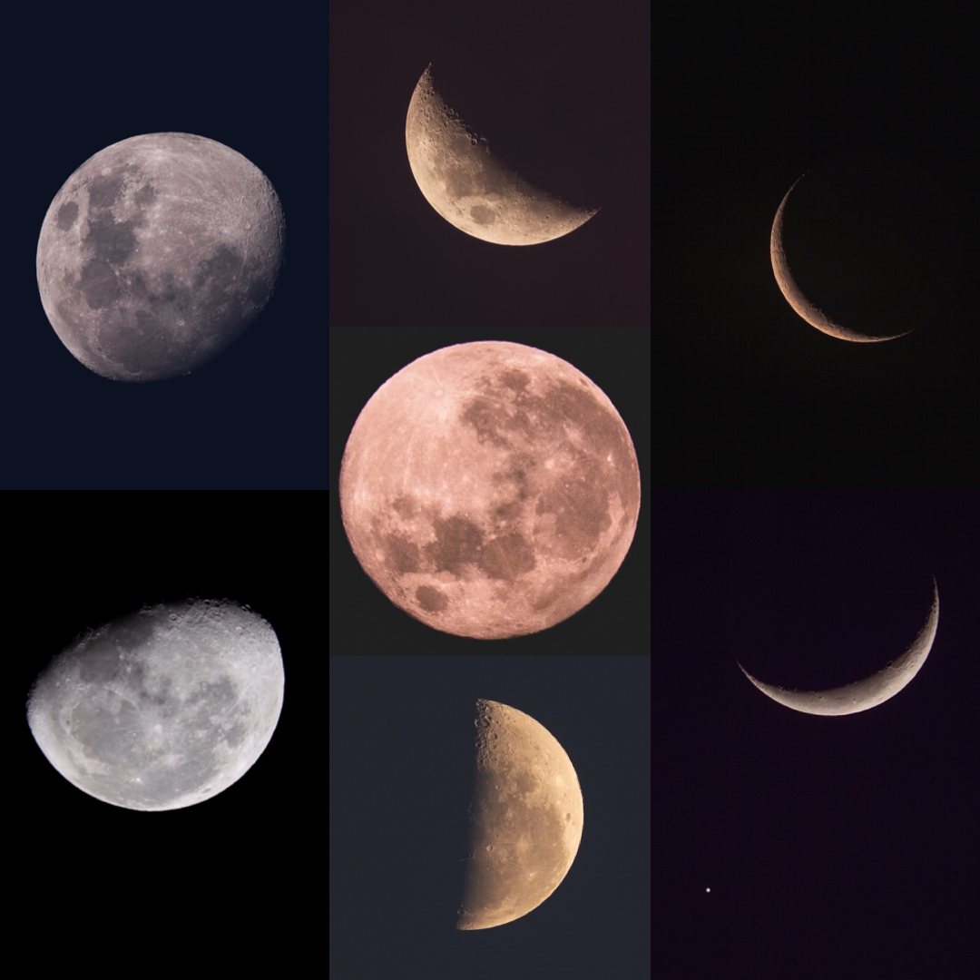 Marvel at the wondrous spectacle of a complete lunar cycle depicted in this stunning collage of seven photos of the moon by Lou Lou B Photo. Each image captures a different stage in the lunar cycle, showcasing the remarkable transformation of the moo