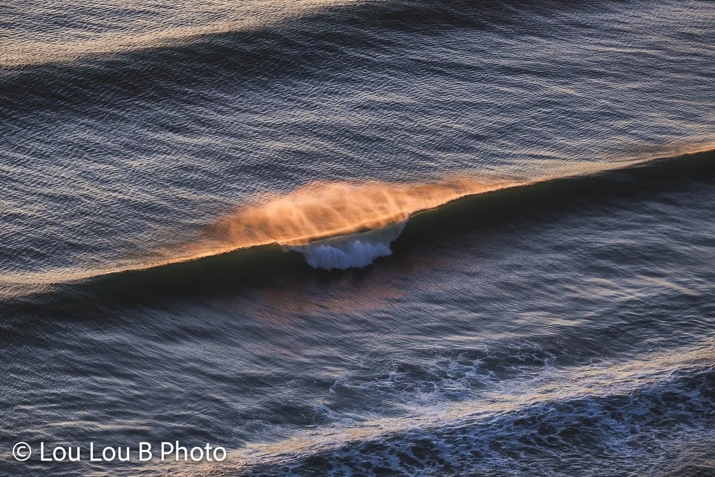 Ocean wave catching warm golden light as offshore wind blows spray from the crest.