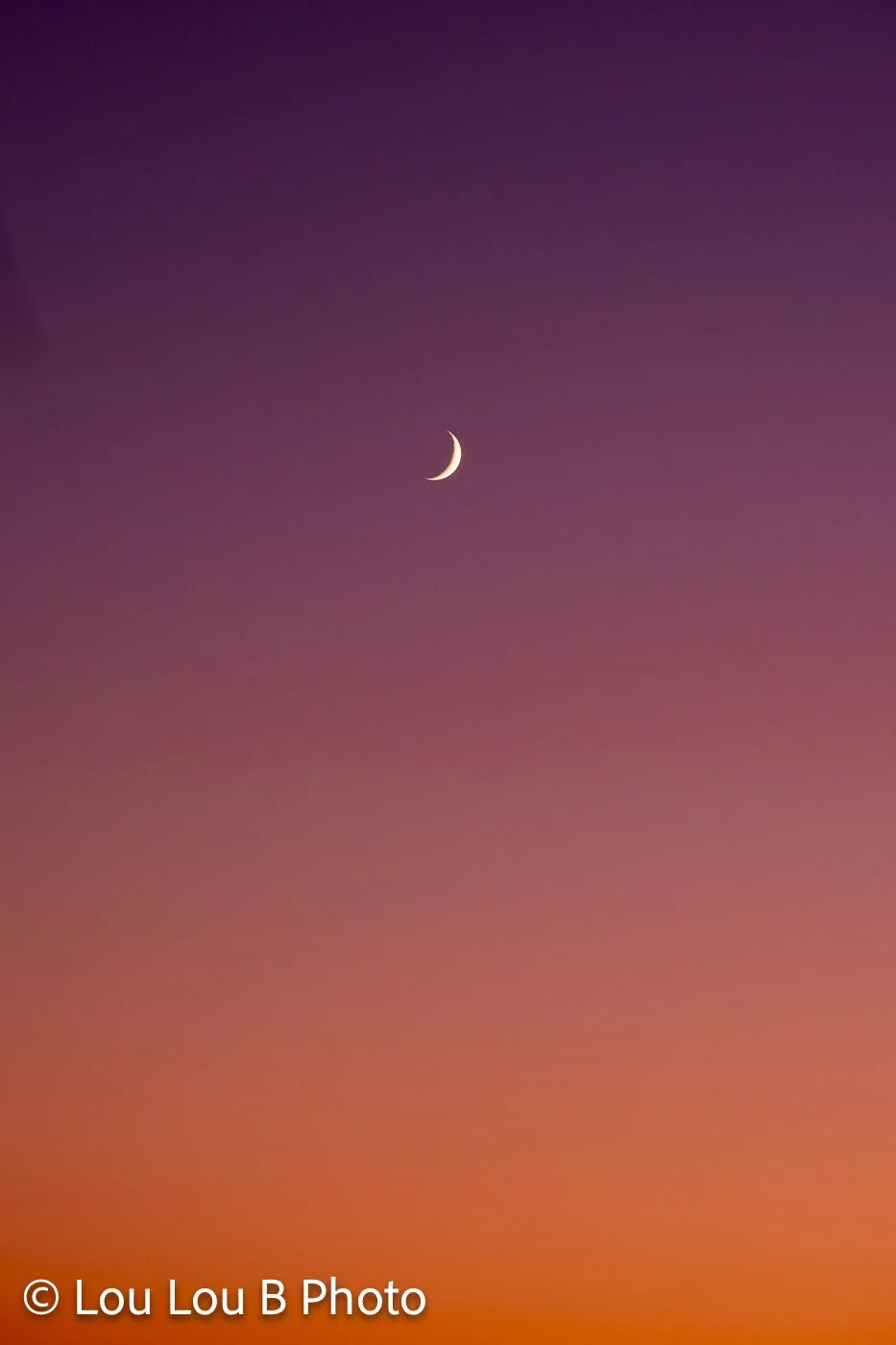 Fine crescent moon suspended in a vivid pink, purple and orange twilight sky.