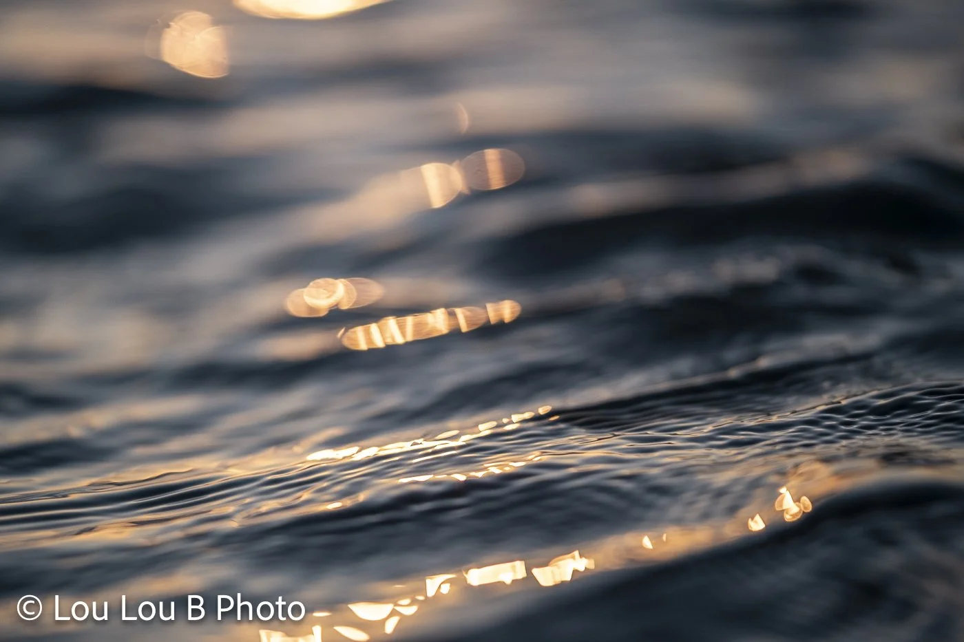 Close-up of dark ocean ripples catching warm golden reflections across the moving water.