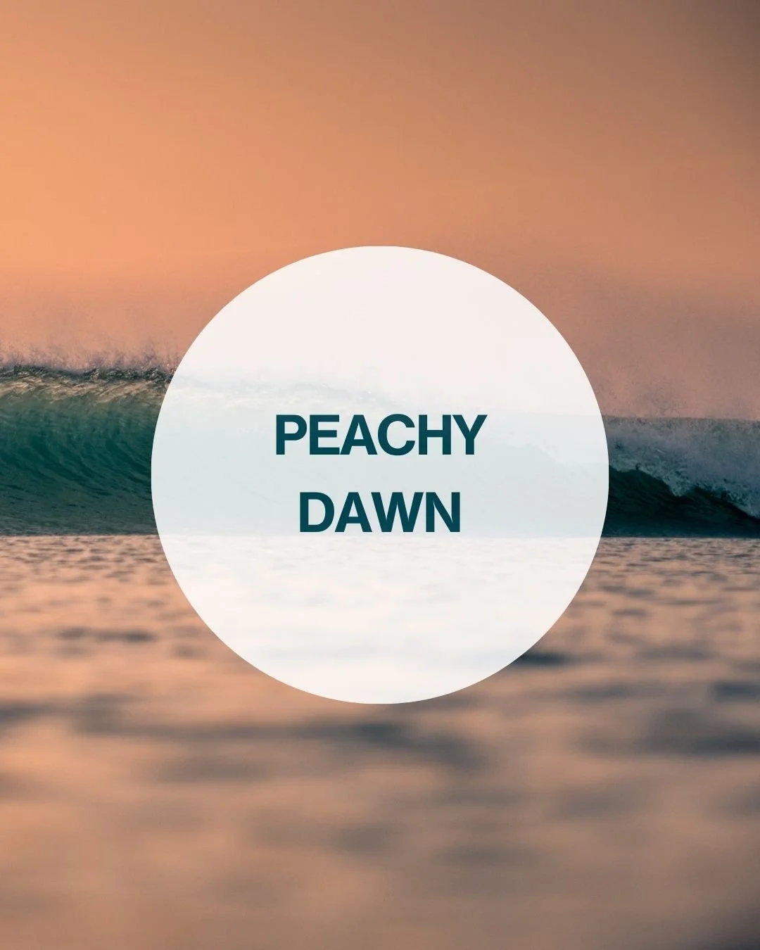 Peachy Dawn.jpg
