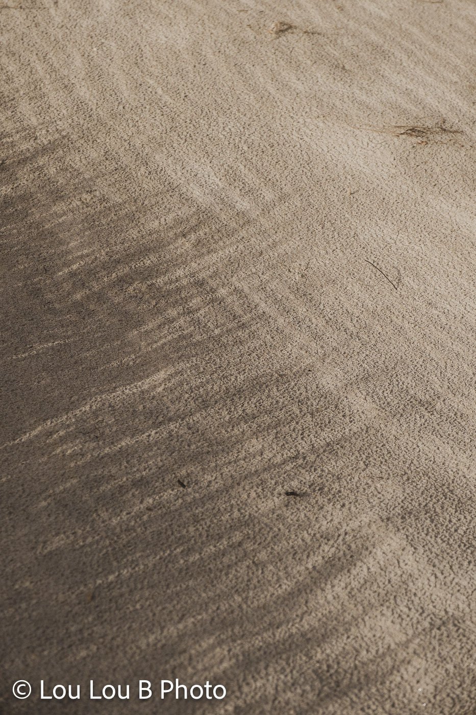 classic-coast-030.jpg
