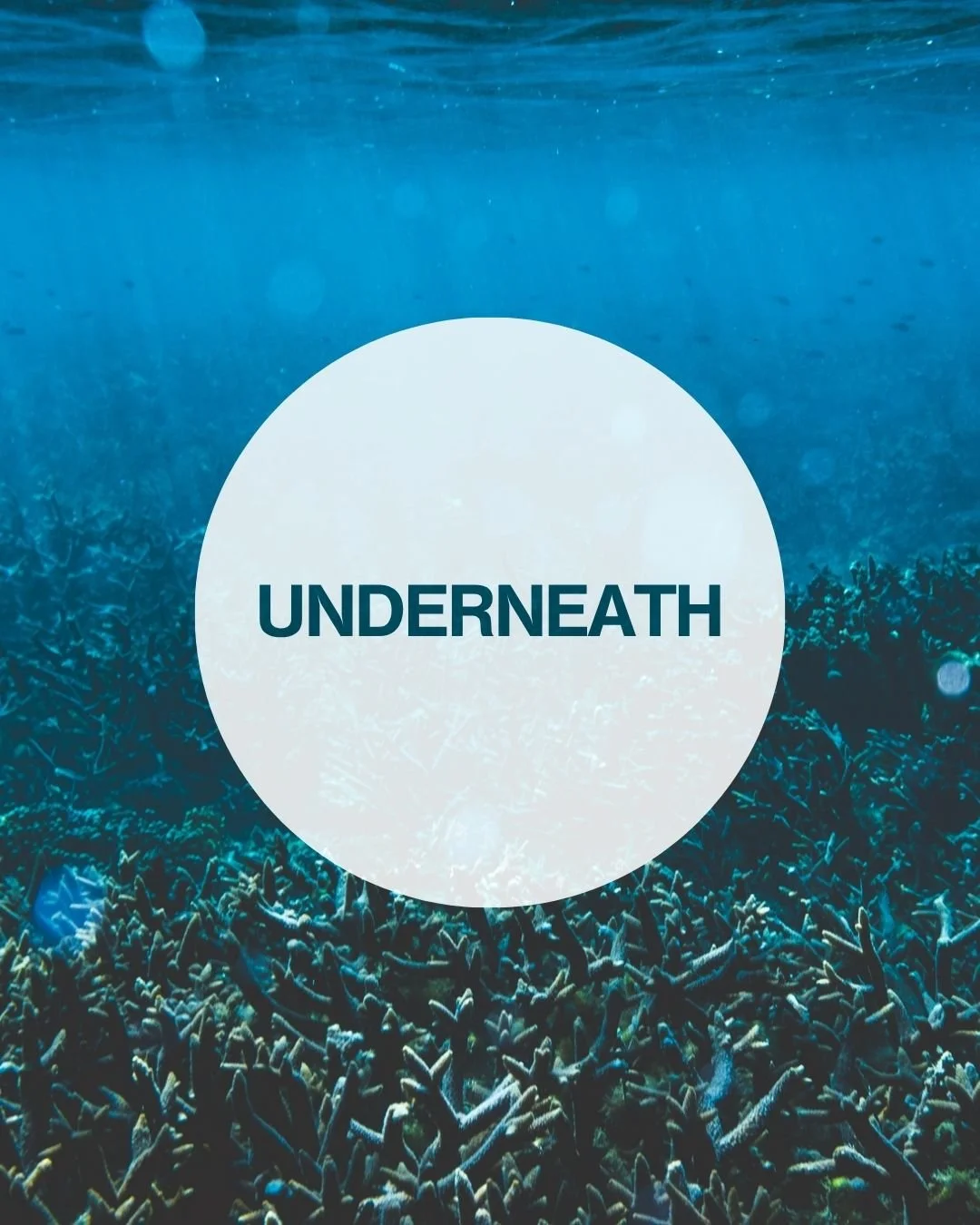 Underneath.jpg