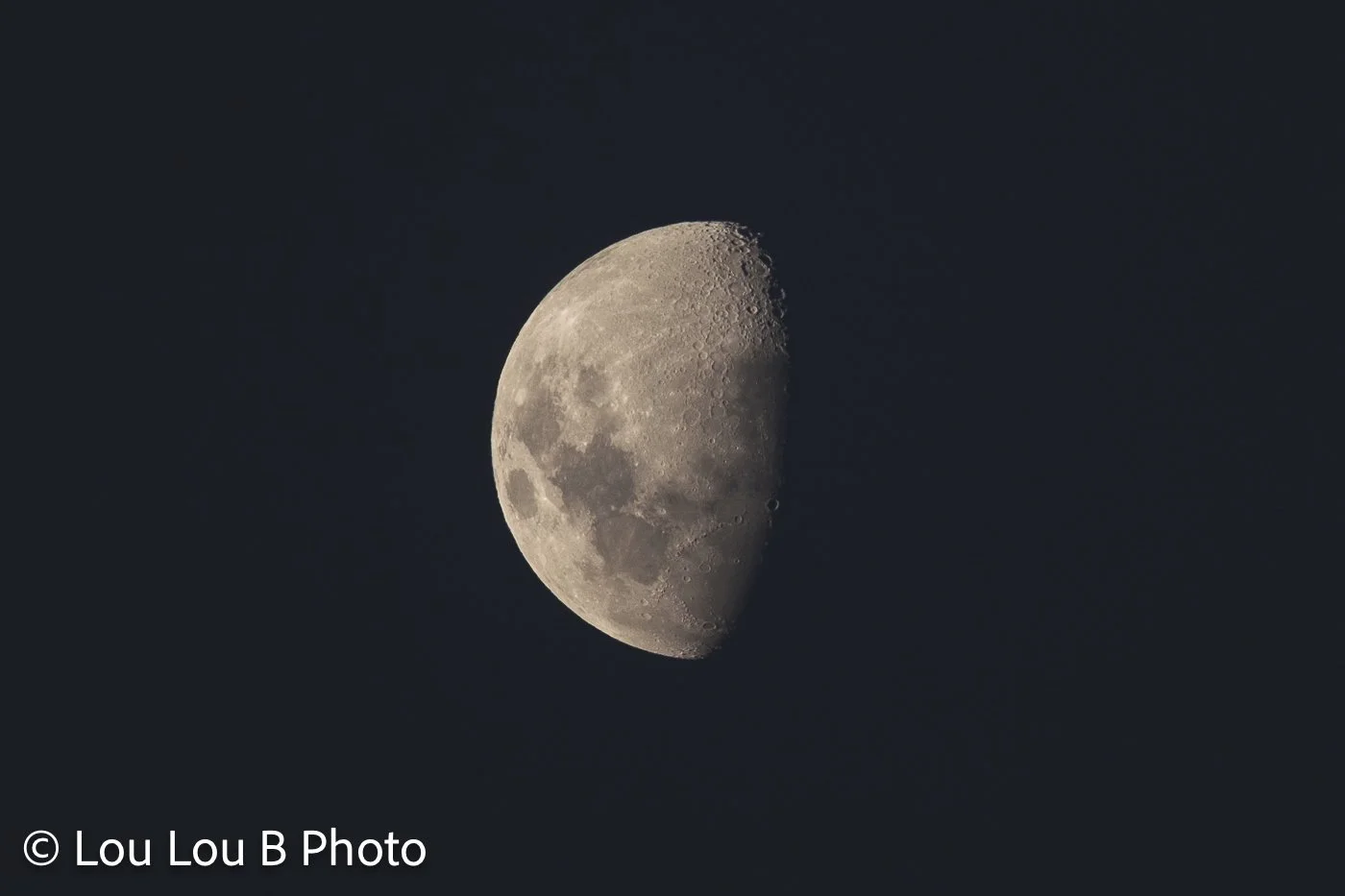 Detailed half moon showing the lunar surface against a dark blue night sky.