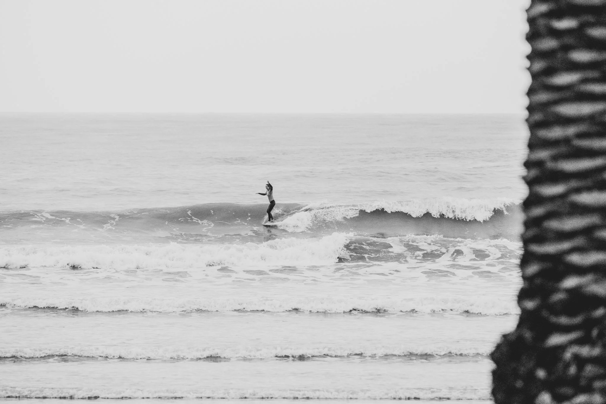 A woman longboard surfing at the West End Wiggle in Ohope, New Zealand. She is gracefully cross-stepping on the board with a palm tree trunk in the foreground, adding a tropical vibe to the black and white landscape shot. The composition captures the