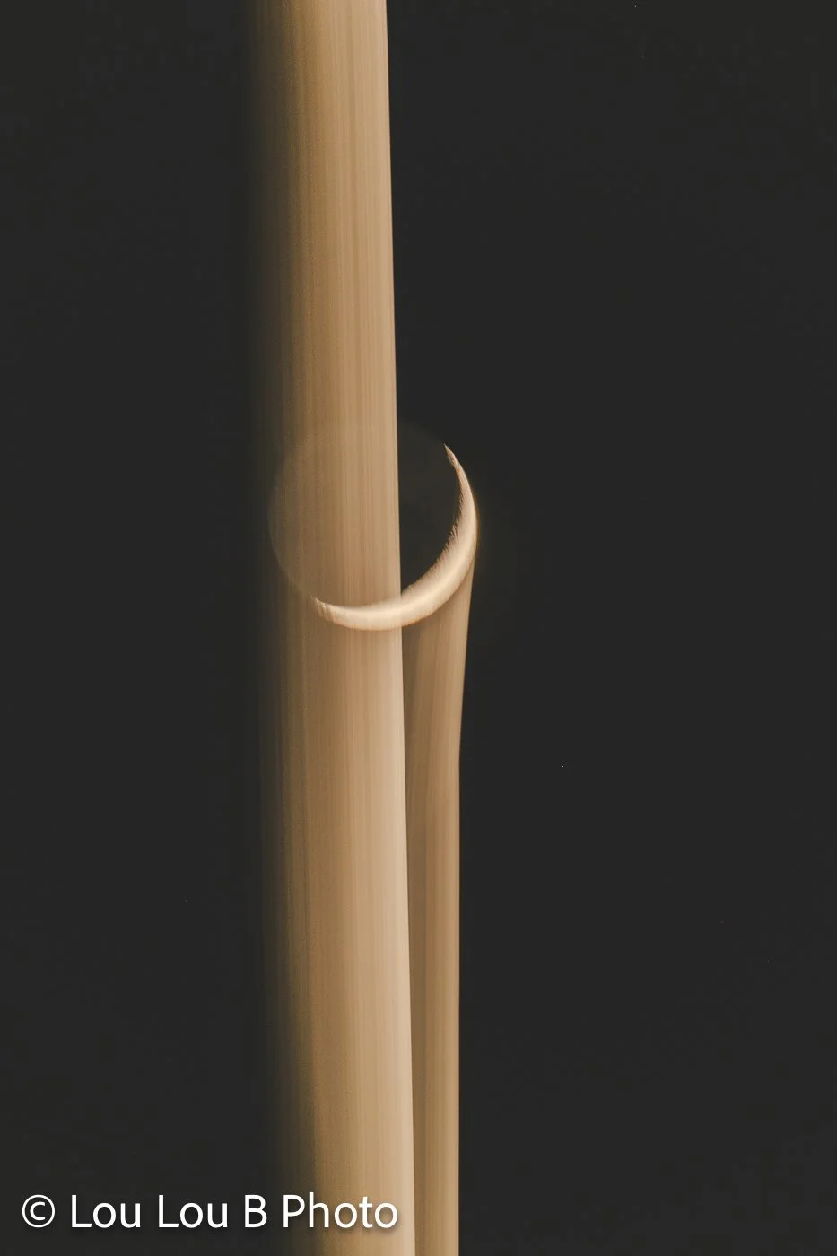 Abstract crescent moon photography with a vertical trail of repeated golden moon shapes against a dark sky.