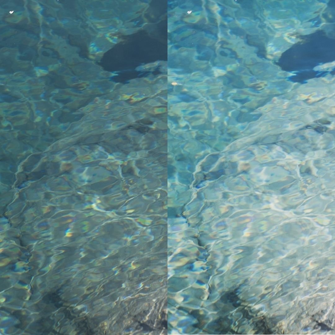 Aquatic