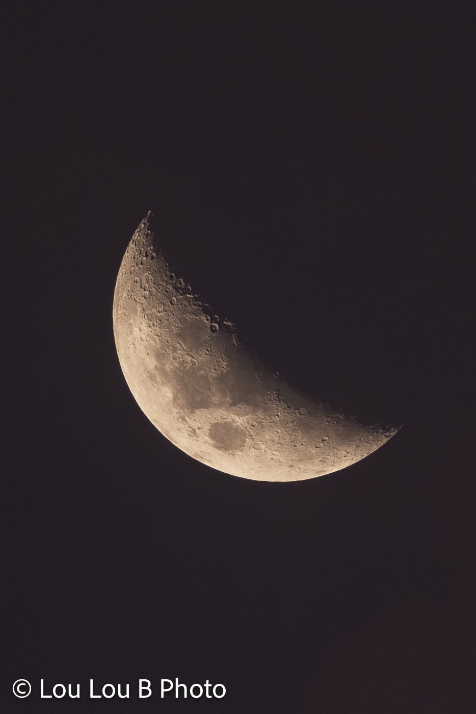 Detailed crescent moon against a deep plum-coloured night sky.
