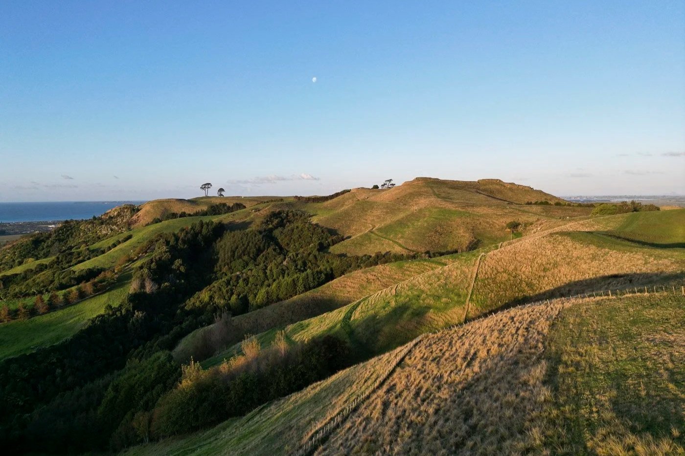 Rolling hills and walking tracks at Pāpāmoa Hills Regional Park overlooking the Bay of Plenty