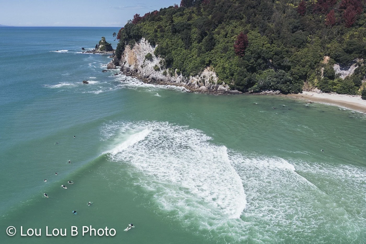 Aerial view of turquoise waves breaking near a lush green coastal headland with surfers in the water.
