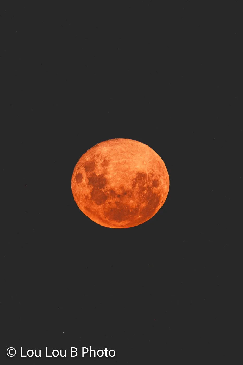 Bright orange full moon photographed against a black night sky.