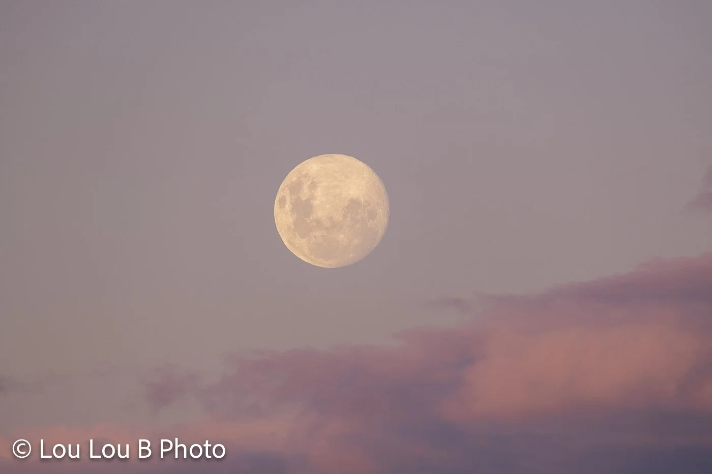 Full moon glowing through soft pink clouds in a pastel evening sky.