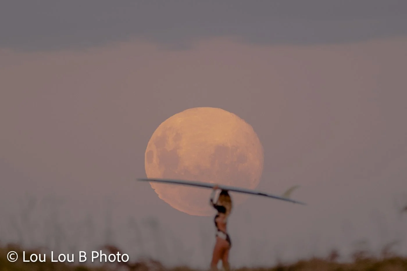 Surfer carrying a longboard silhouetted against an oversized golden full moon rising near the coast.