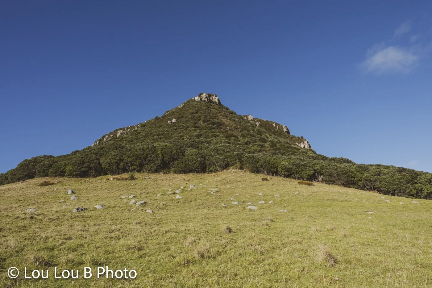 Mauao summit and grassy slopes beneath a blue sky in Mount Maunganui