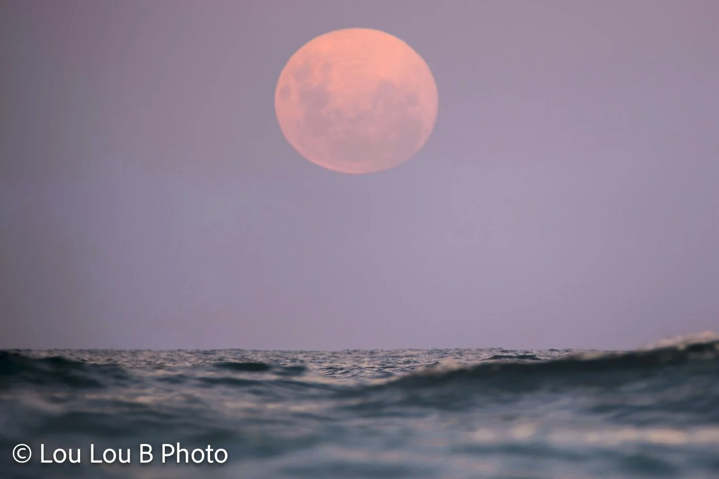 Large pink full moon rising above an ocean wave beneath a soft lavender sky.
