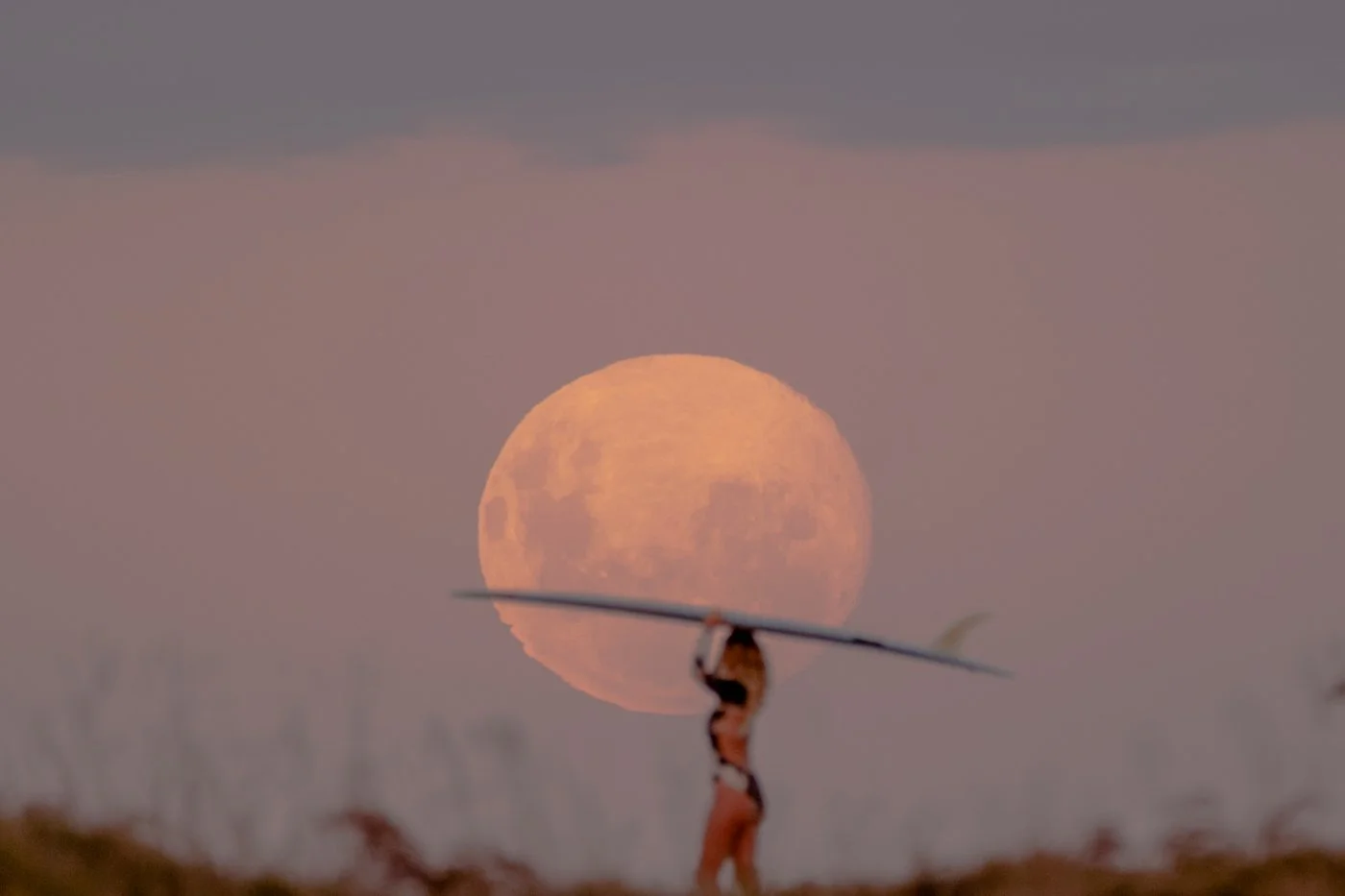 Full moon rising over the ocean at Mount Maunganui with surfer carrying board at sunrise twilight