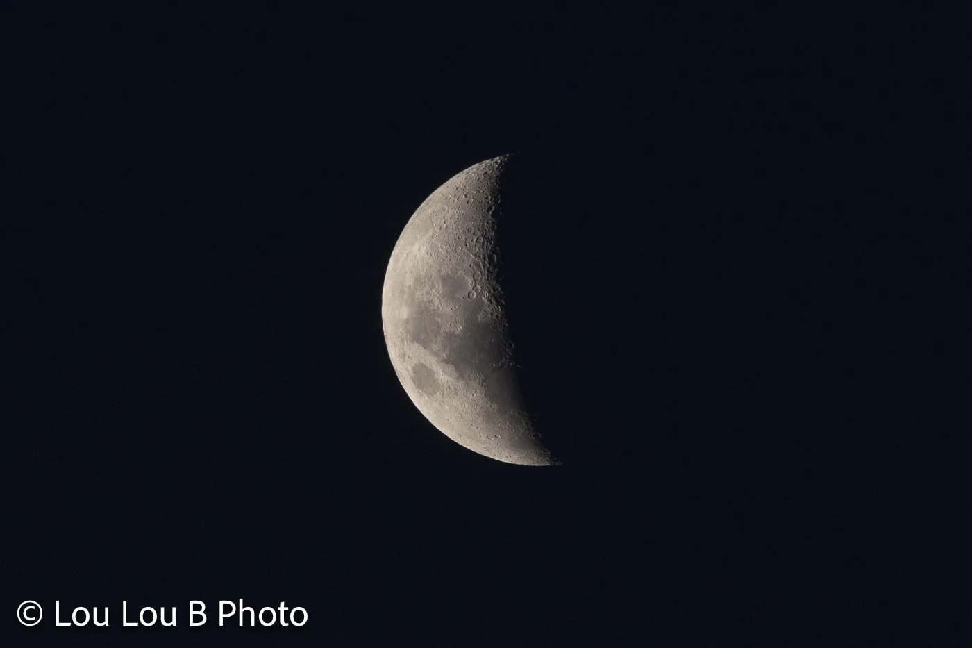 Detailed half moon illuminated against a deep blue-black night sky.