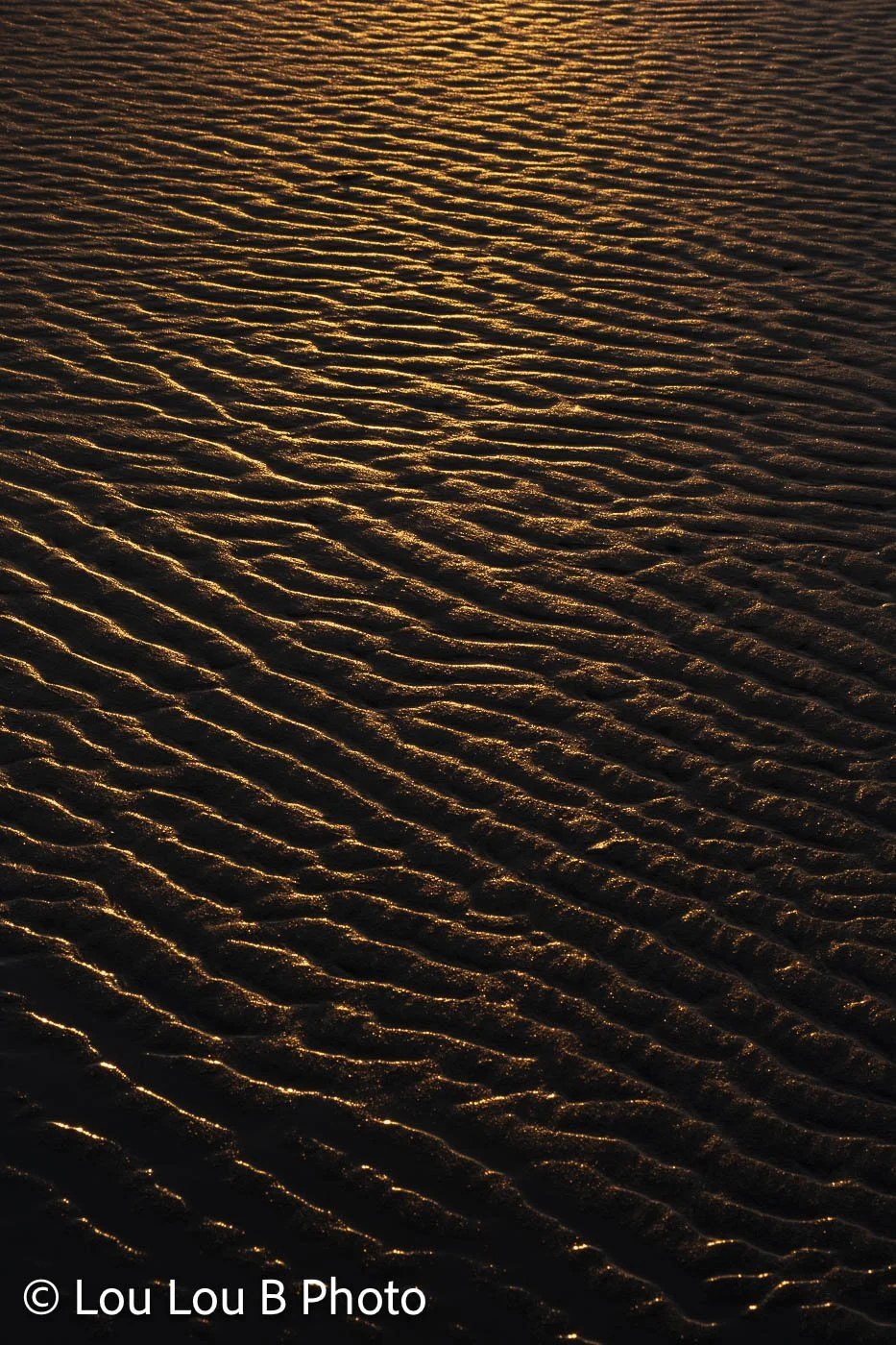 Close-up of rippled wet sand outlined by warm golden light at low tide.