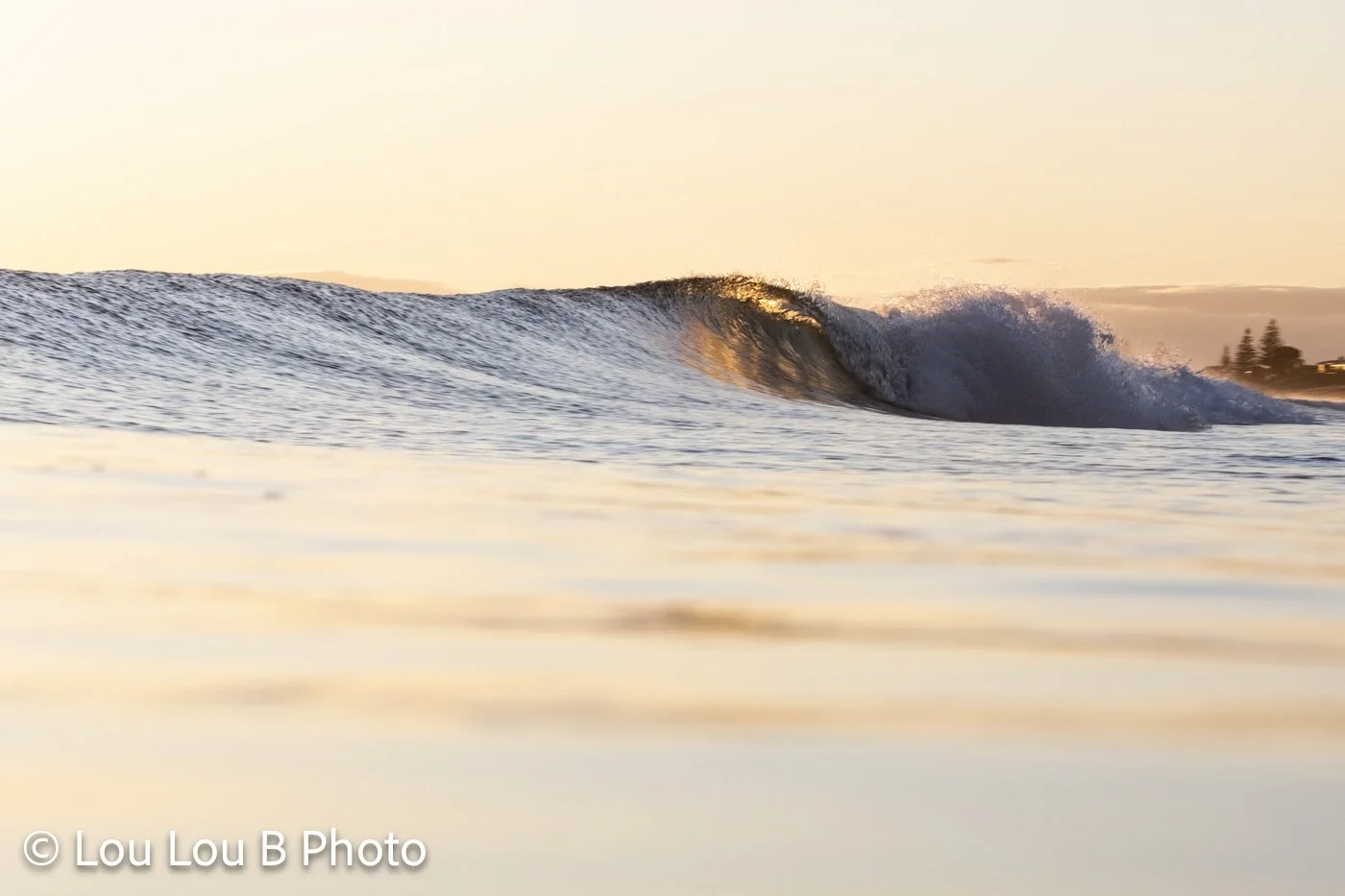 Breaking ocean wave at Mount Maunganui glowing in soft golden evening light