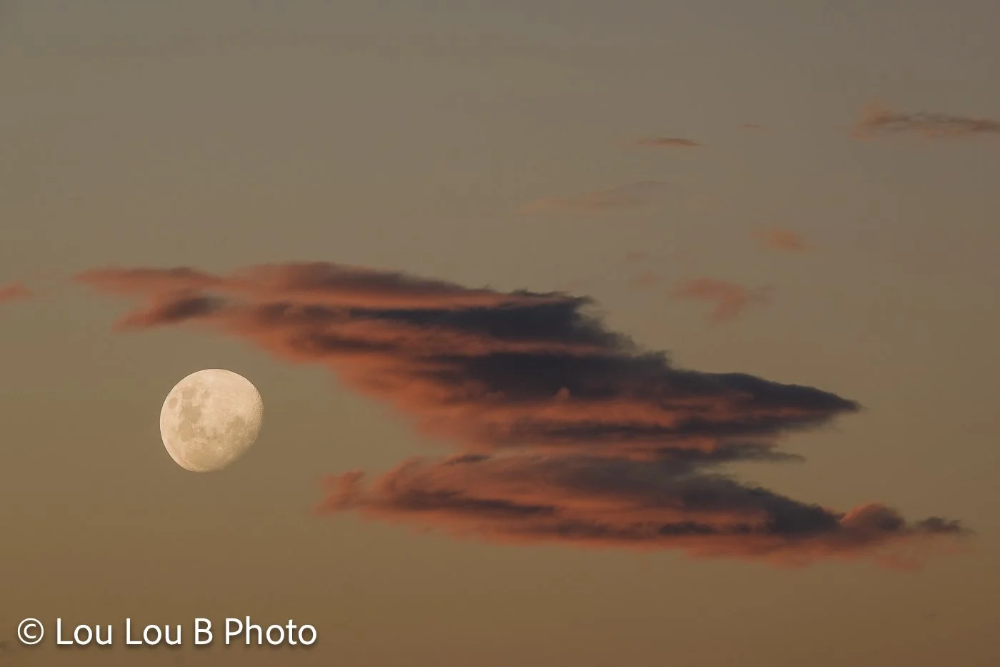 Waxing moon beside dramatic pink clouds illuminated by the last light of sunset.