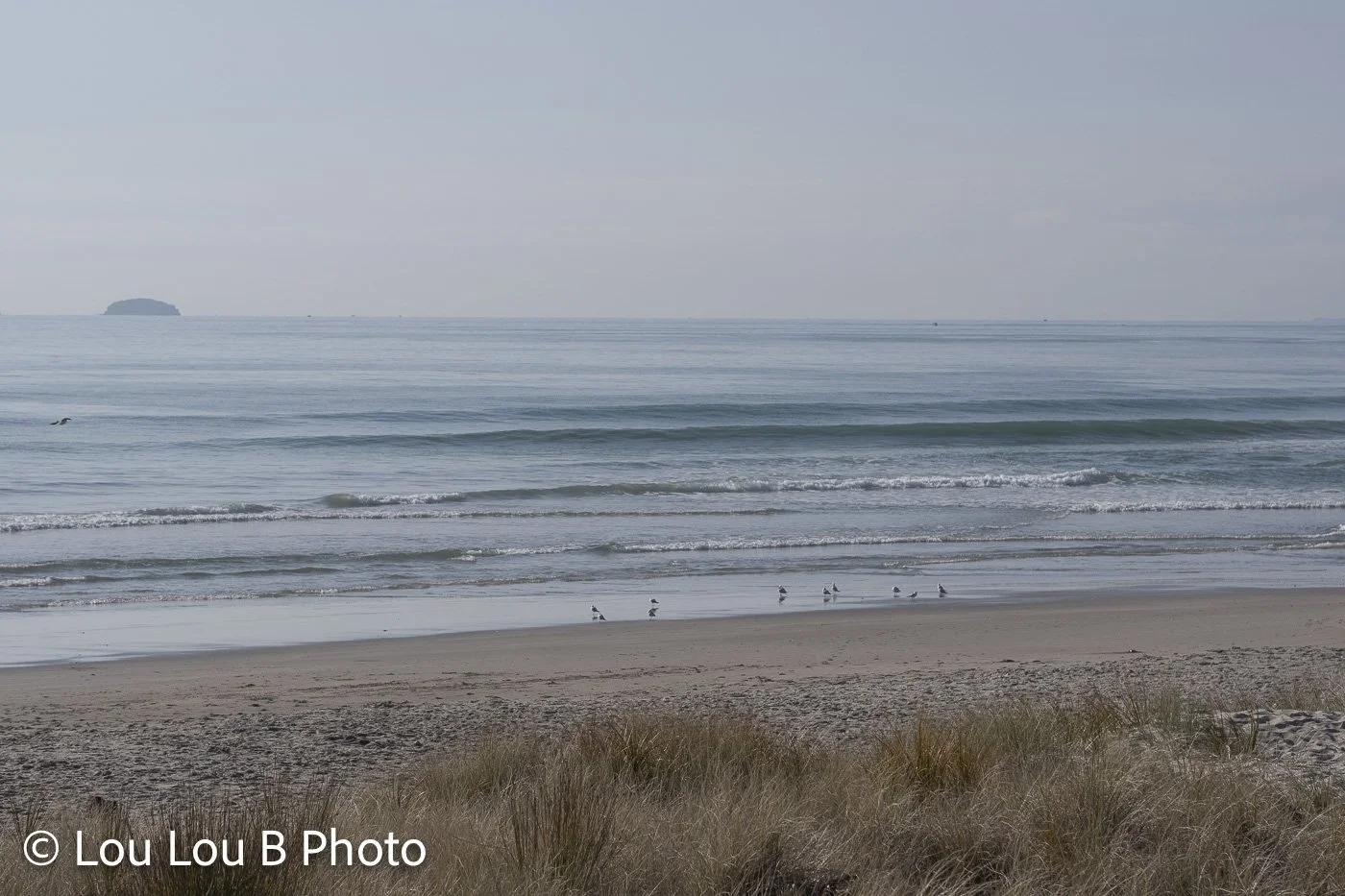 Minimal coastal view of a calm pale blue sea, sandy beach and distant island.