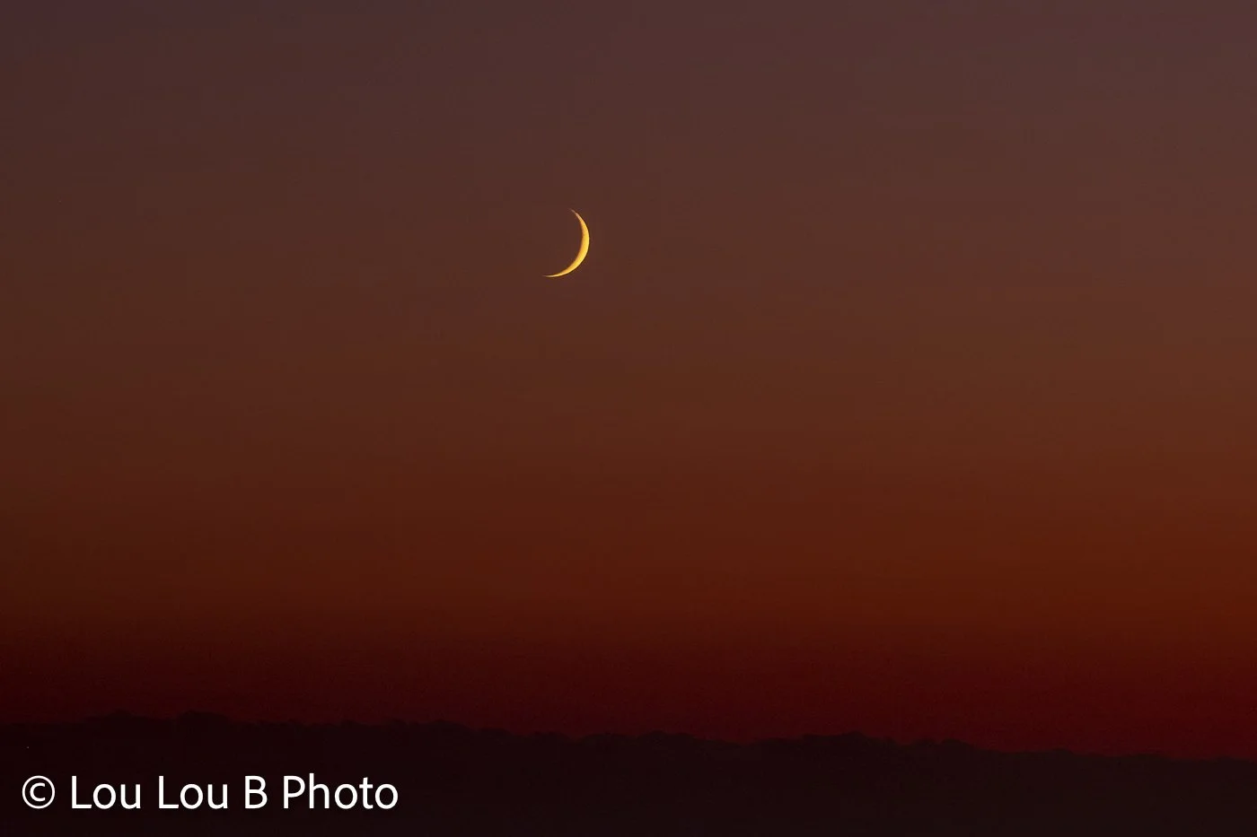 Fine golden crescent moon against a deep burnt-orange twilight sky.