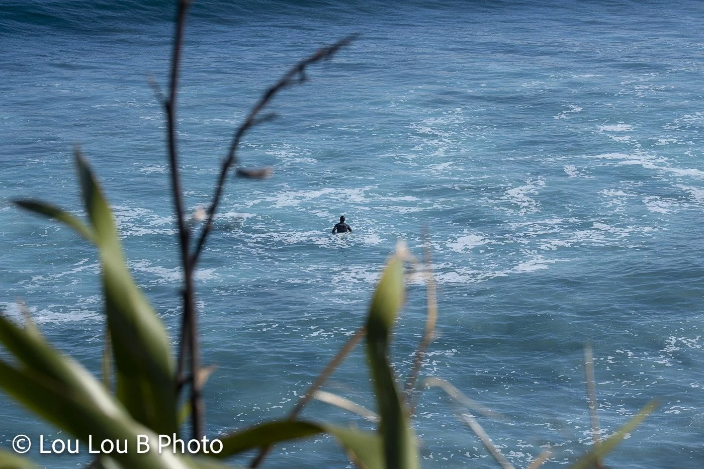 Lone surfer sitting in blue ocean water framed by coastal vegetation.