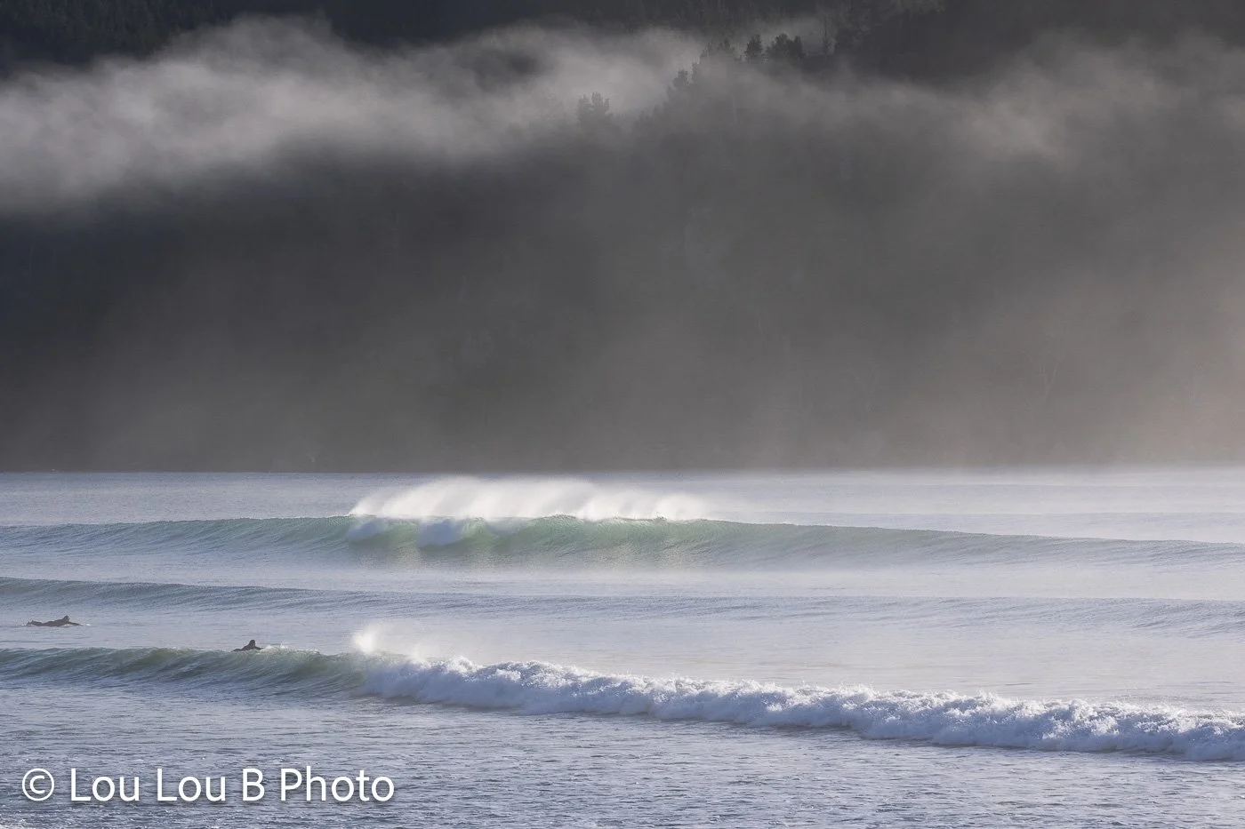 Clean ocean waves breaking beneath headland with vegetation, and misty coastal light.